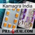 Kamagra India new12